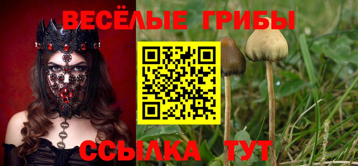 Псилоцибиновые грибы GOLDEN TEACHER Йошкар-Ола